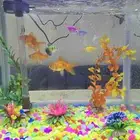 سكة زينه مع الحوض