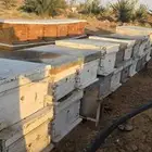 صناديق نحل وبراويز مستعمله