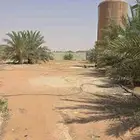 أرض مسورة للبيع 2000 متر المشاعلة