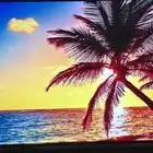 شاشة MTC سمارت 65 بوصة شبه جديدة