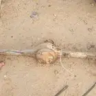 دفرنس مازدا وانيت 2008