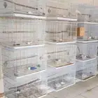 اقفاص 601 مستعمله