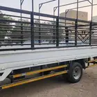 شبك دينا للبيع