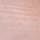 تانكي فيبر حق جمس