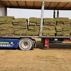 ثيل سي2000 صافي وخالي من الخلط والاعشاب الخرج الدلم
