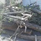 قص اشجار وتنظيف الحدائق وترحيل المخلفات ونخيل