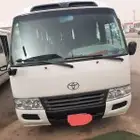 باصات للايجار 30 14 راكب
