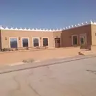 نخل الزلفي المثمرة