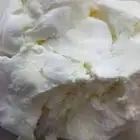 زبد ماعز