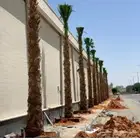 تكريب وترتيب النخيل والاشجار