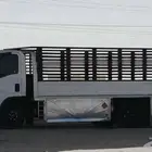 دينا مشاويره داخلي وخارجي