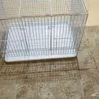 اقفاص عصافير