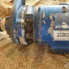 البيع دفاعه 5 حصان سمنان