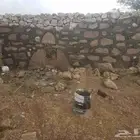 معلم حجر وتلبيس