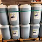 شامبوا سيارات عادي