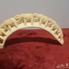 ناب فرس النهر مشغول