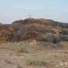 بلوبانك قديم جاه المطر عامين شد قوي للبيع