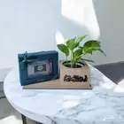 شوكلت الحمدلله على السلامه مع نبته بوتس