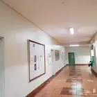 لوحات مدرسيه لوحات على فوركس