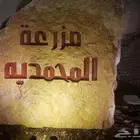 نحت حروف على حجر وجه الجبل