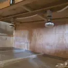 حاضنة حاضنات صوص