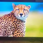 شاشه سوني بريفيا sony