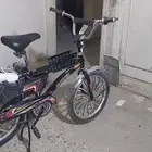 رامبو اسود للبيع