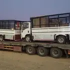 لوبد متوتجدفي ثرب مهد الذهب