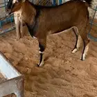 شاركنا تجربتك و خبرتك نفدا عينك