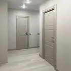 طلاء ابواب   اللوان حصرية   بويات جودة عالية