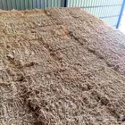 الرياض العزيزيه سوق العلف