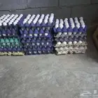 بيض الحعرانه