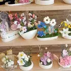 كوش  طولت ملكه  استندات  ورود طبيعيه  كوش حفلات