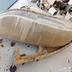 شمعة مازدا 6 2003 يسار