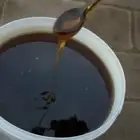 عسل صيفي عليه طلحه وعسل سدر