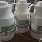 دله شاهي وقهوه