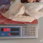 ديك رومي ذبح طازج