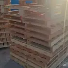 طبليات
