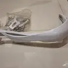 حامي بانشي جديد امامي