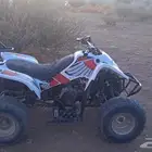 دباب سويدي  100