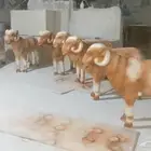 تصنيع مجسمات حسب الطلب وحسب التصميم فايبر جلاس