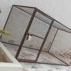 شبك دجاج نضيف للبيع