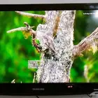 شاشه سامسونج 32 بوصه