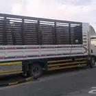 دينا لاجار اليومي والشهري