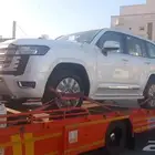 سط  القوز القنفد  حلي جيزان