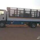 داخل و خارج رياض