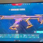 Valorant account (100 Skins)