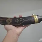 جنبيه جنوبيه زينه