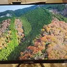 شاشه 24 بوصه 165 هرتز ips 1ms من قيم اون