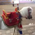 الرياض